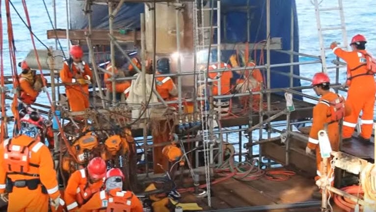 Elfe divulga e-mail de contato