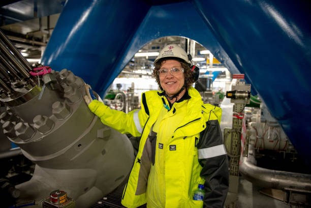 engenheiro rio de janeiro onshore petróleo equinor