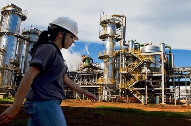 bunge, agronegócio, jovens engenherios, são paulo, vagas
