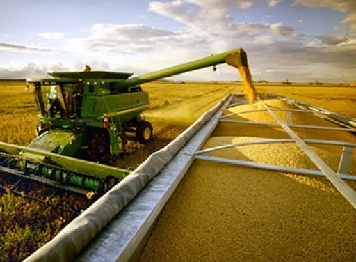 agronegócio, coronavírus, exportações