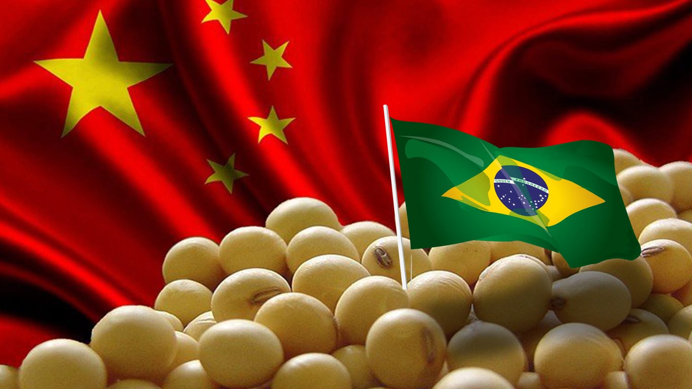 soja, china, brasil, coronavírus, alimentos