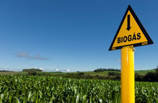 Biogás, energia, produção