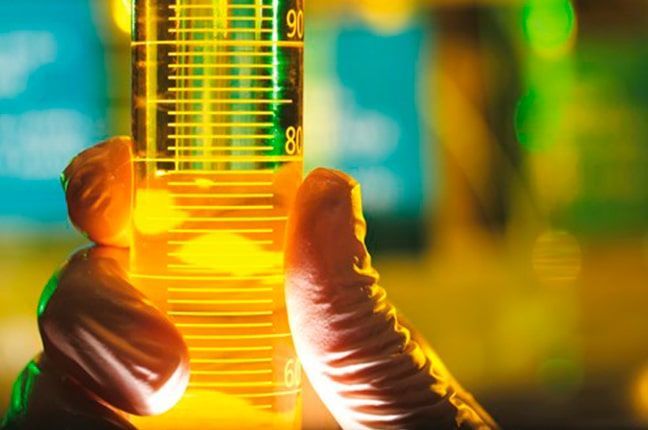 diesel, biodiesel, anp, petróleo