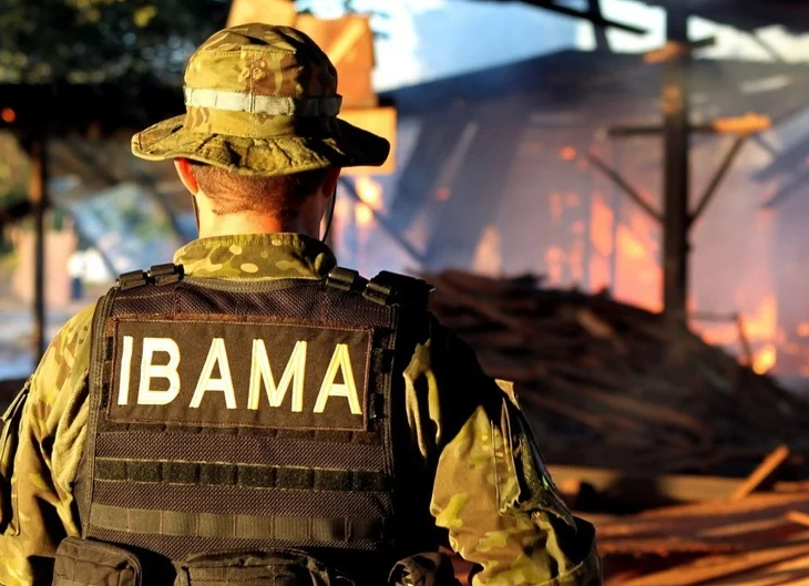 Concurso, vagas, ibama