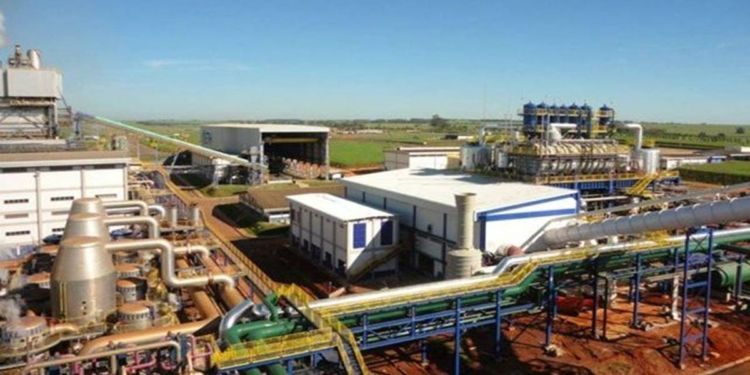 Usina de açúcar e etanol convoca profissionais para vagas de emprego de ensino fundamental e médio em Goiás