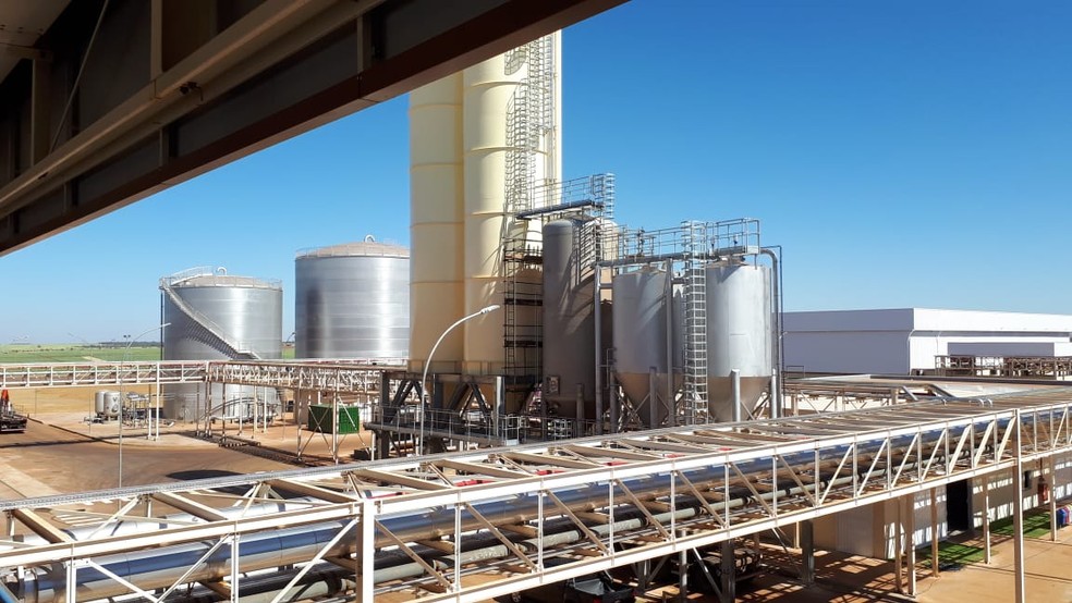 Grupo Petrópolis - Cervejaria