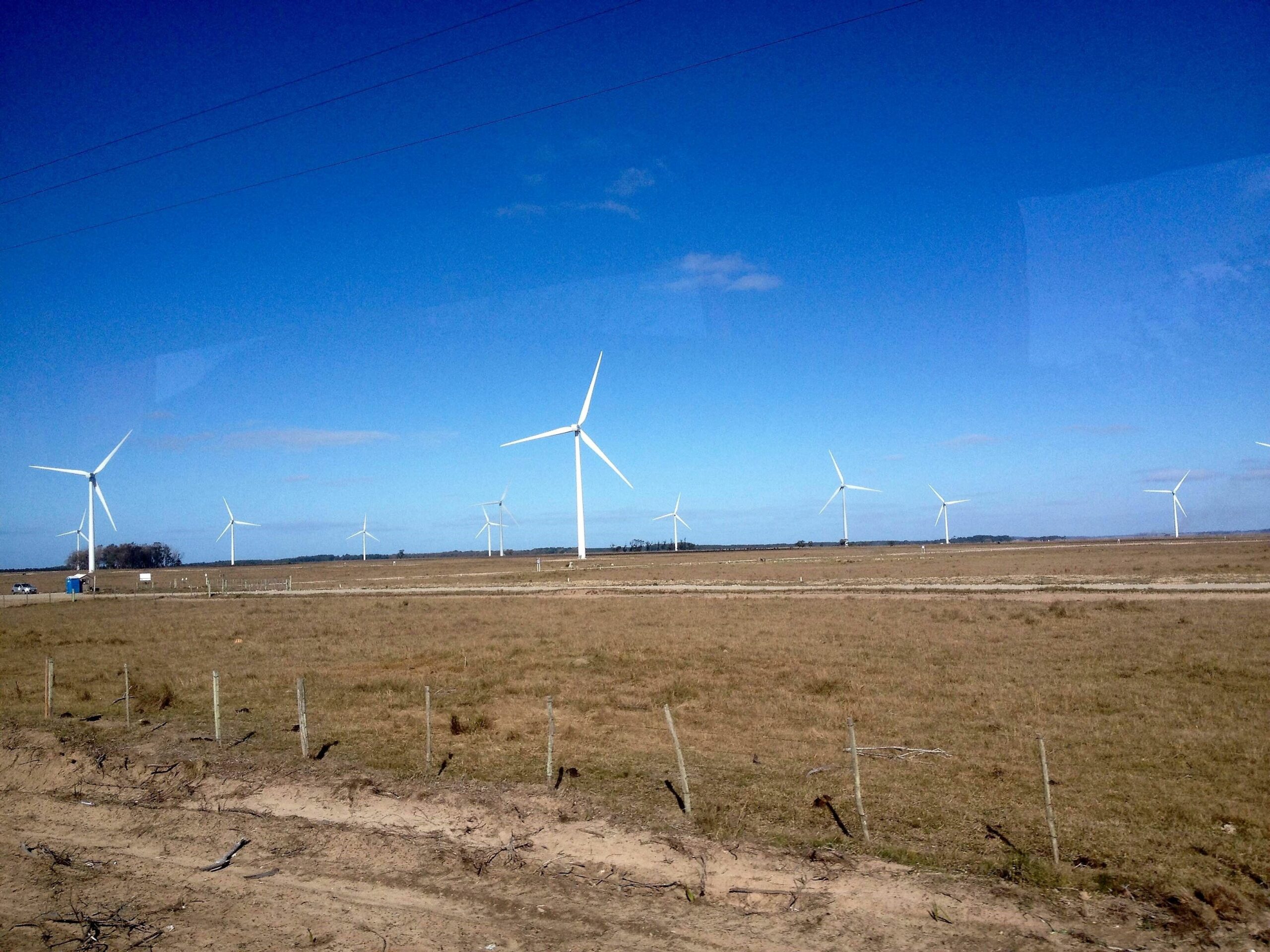 Omega Energia fecha contrato de R$ 500 mi para adquirir parque eólico da Eletrobras