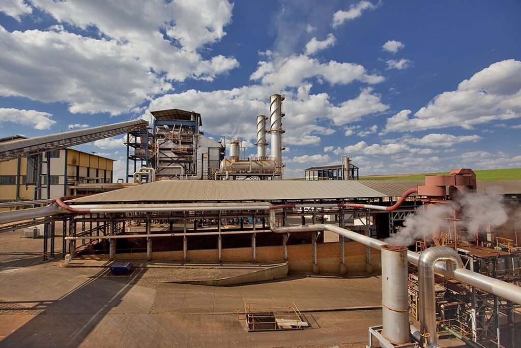 vagas de emprego, cana-de-açúcar, São Paulo