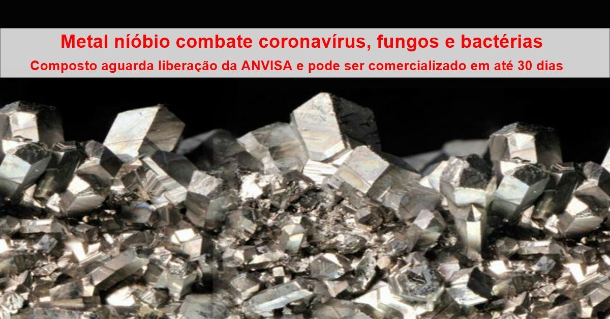metal nióbio, UFMG, coronavírus