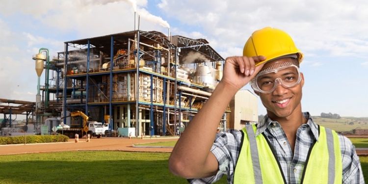 usina; vagas de emprego goiás