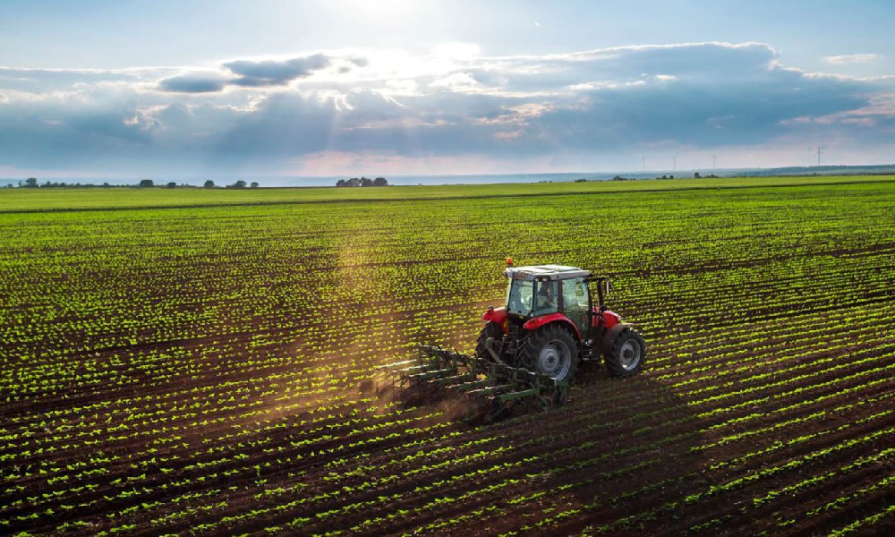 Agronegócio, economia