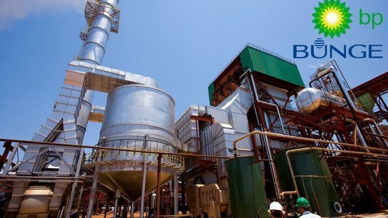 Etanol, BP Bunge, emprego