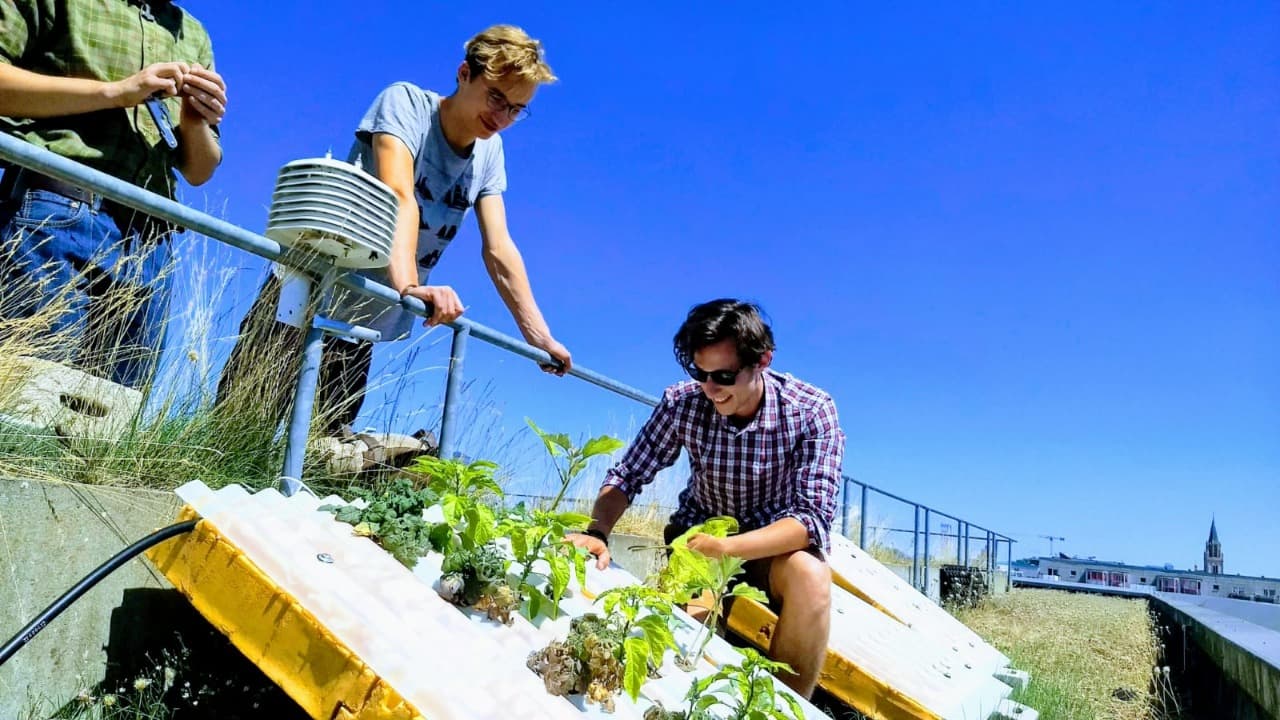 Telha hidropônica - Sustentável