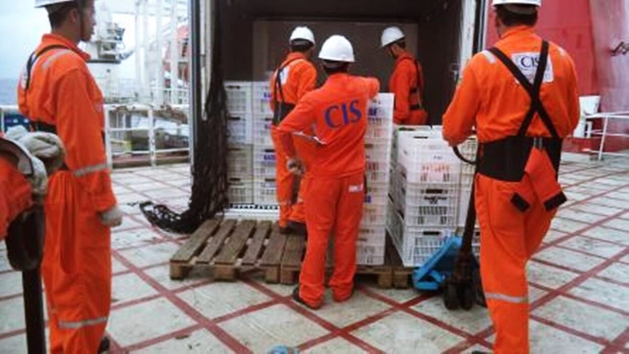 emprego - vagas - macaé - sem experiência - ensino fundamental