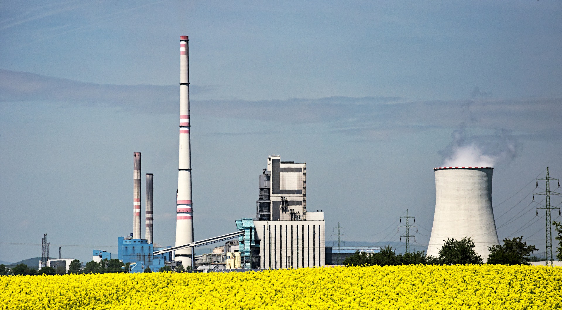 biocombustíveis energia combustível carros elétricos emissões de carbono