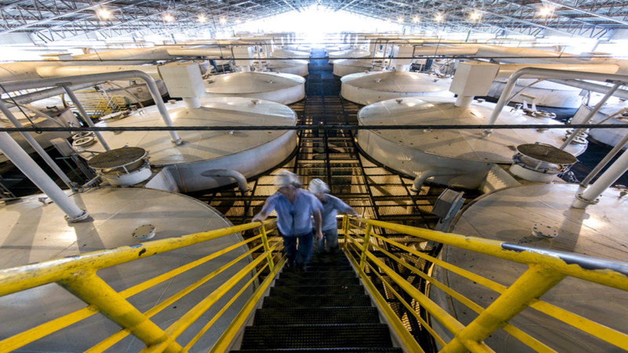 usinas - etanol - preço - raízen - shell - volkswagen - produção