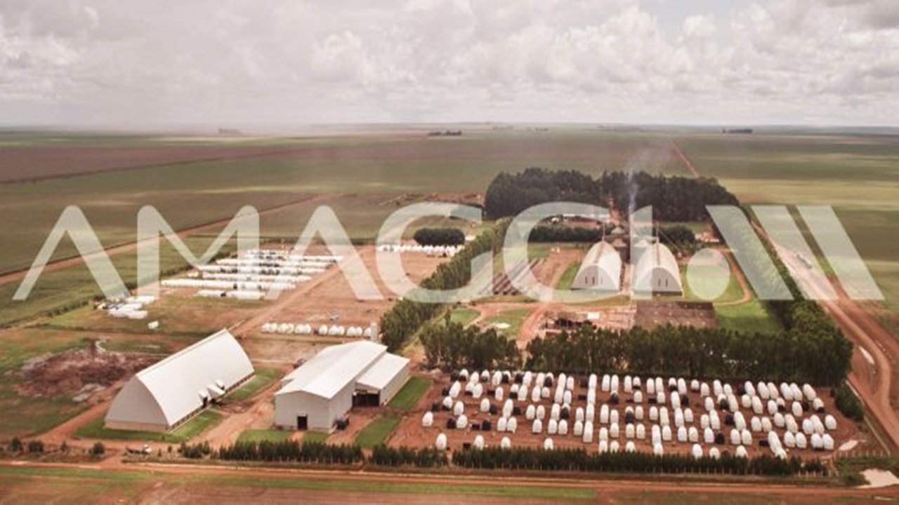 produção - amaggi - eua - china