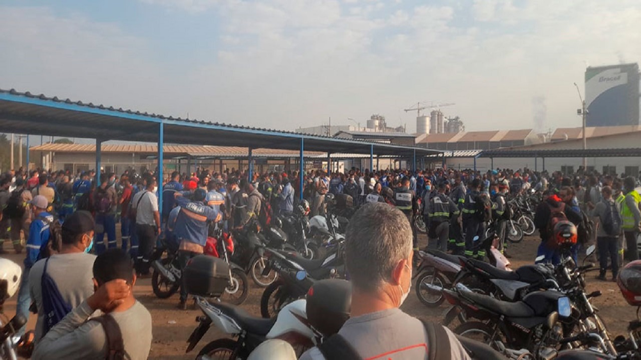 Bracell - Niplan - funcionários - celulose - SP - demissão