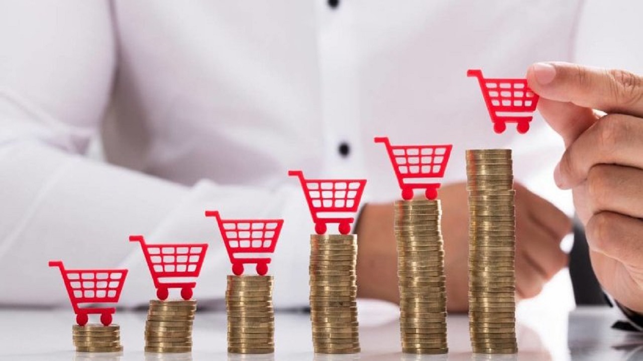 Energia elétrica - carne - consumidores - combustível