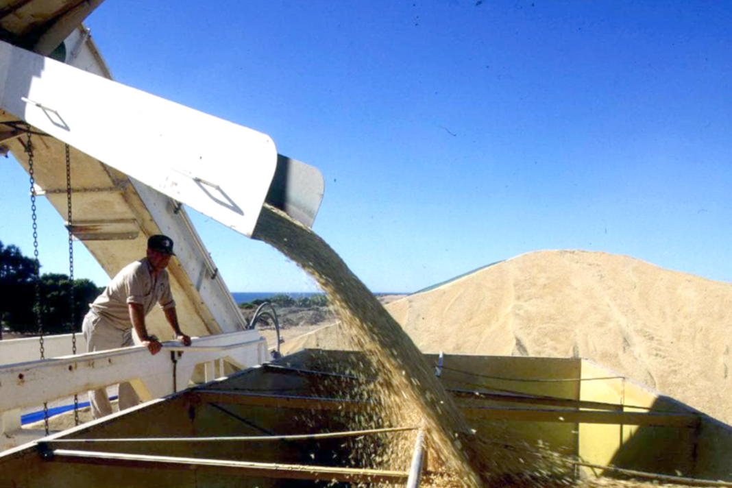 Rio Grande do Sul – emprego – empreendimentos