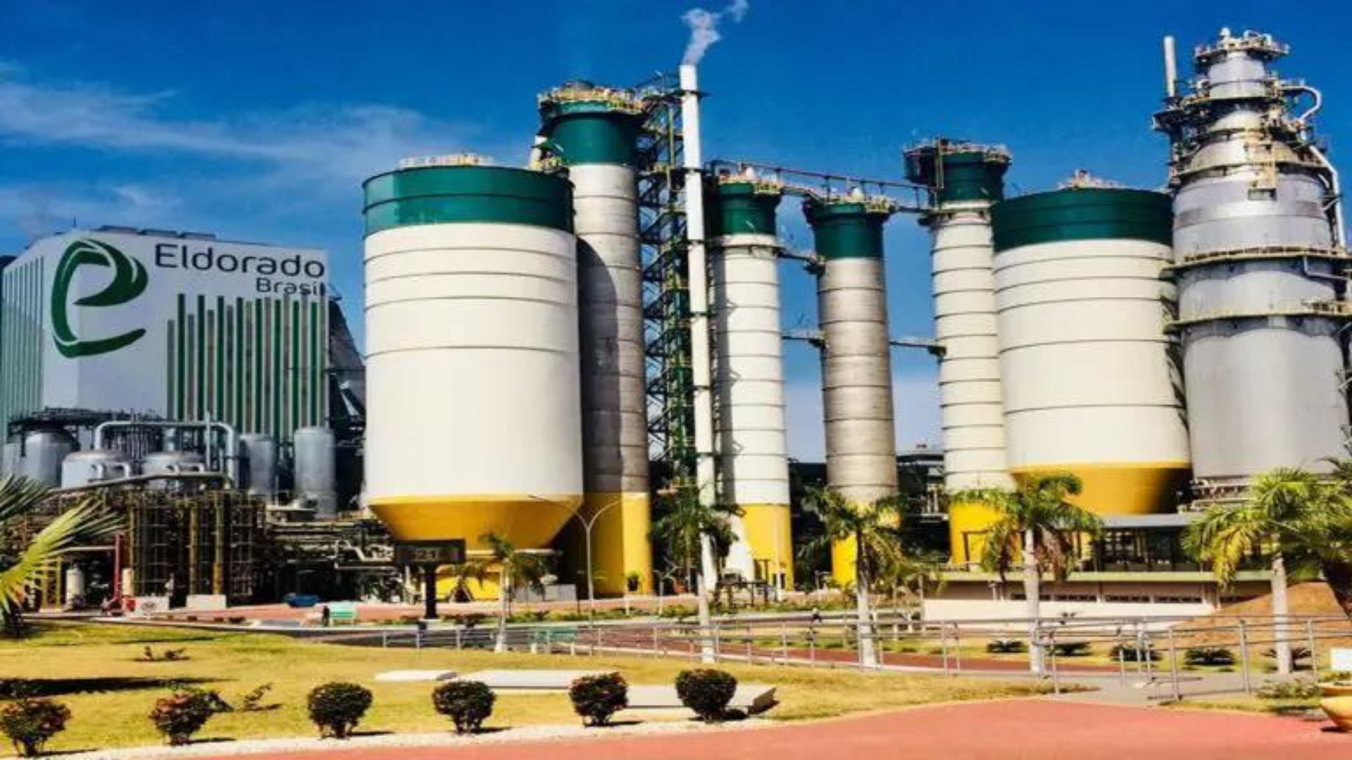 Fábricas – celulose – empregos – Mato Grosso do Sul