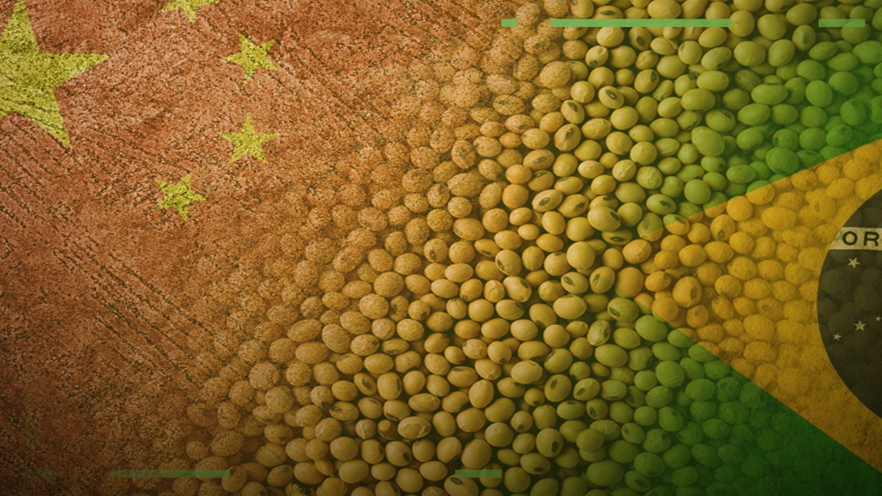 china - chineses - Evergrande - calote - agro - brasil