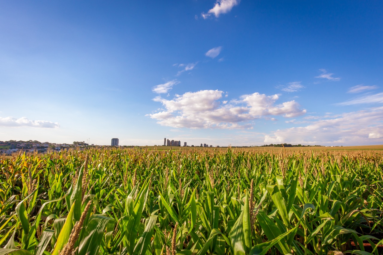 biocombustível do milho Bureau Veritas