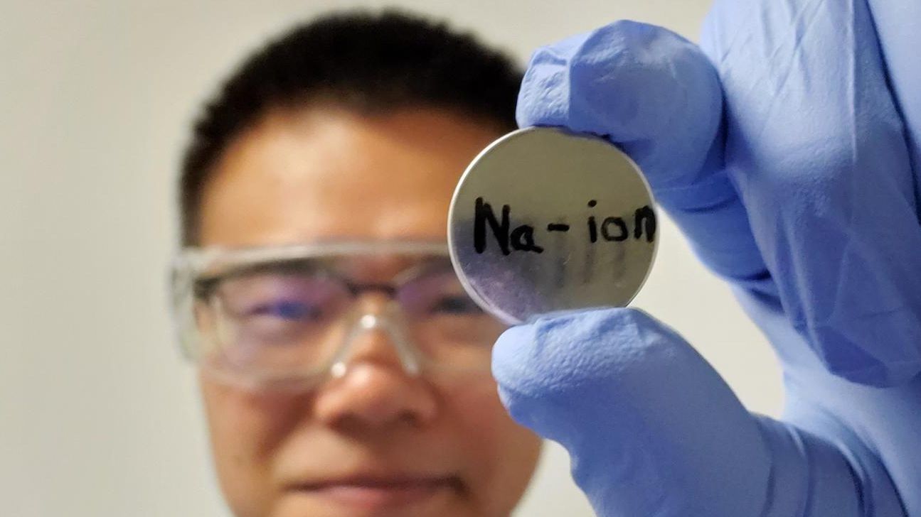 Bateria - celulose- sódio - potássio