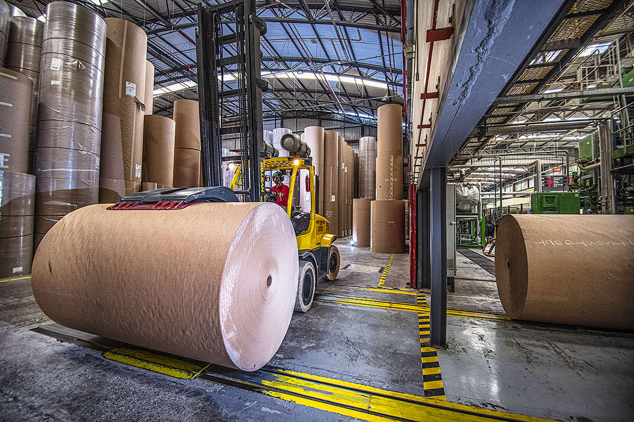 emprego - Klabin - celulose