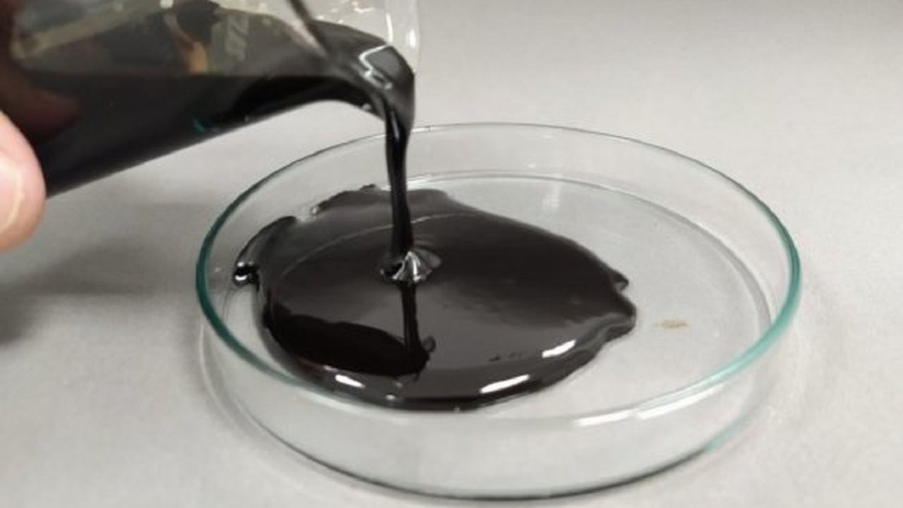 Pesquisadores - Mato-Grosso-do-Sul- combustível -eucalipto -