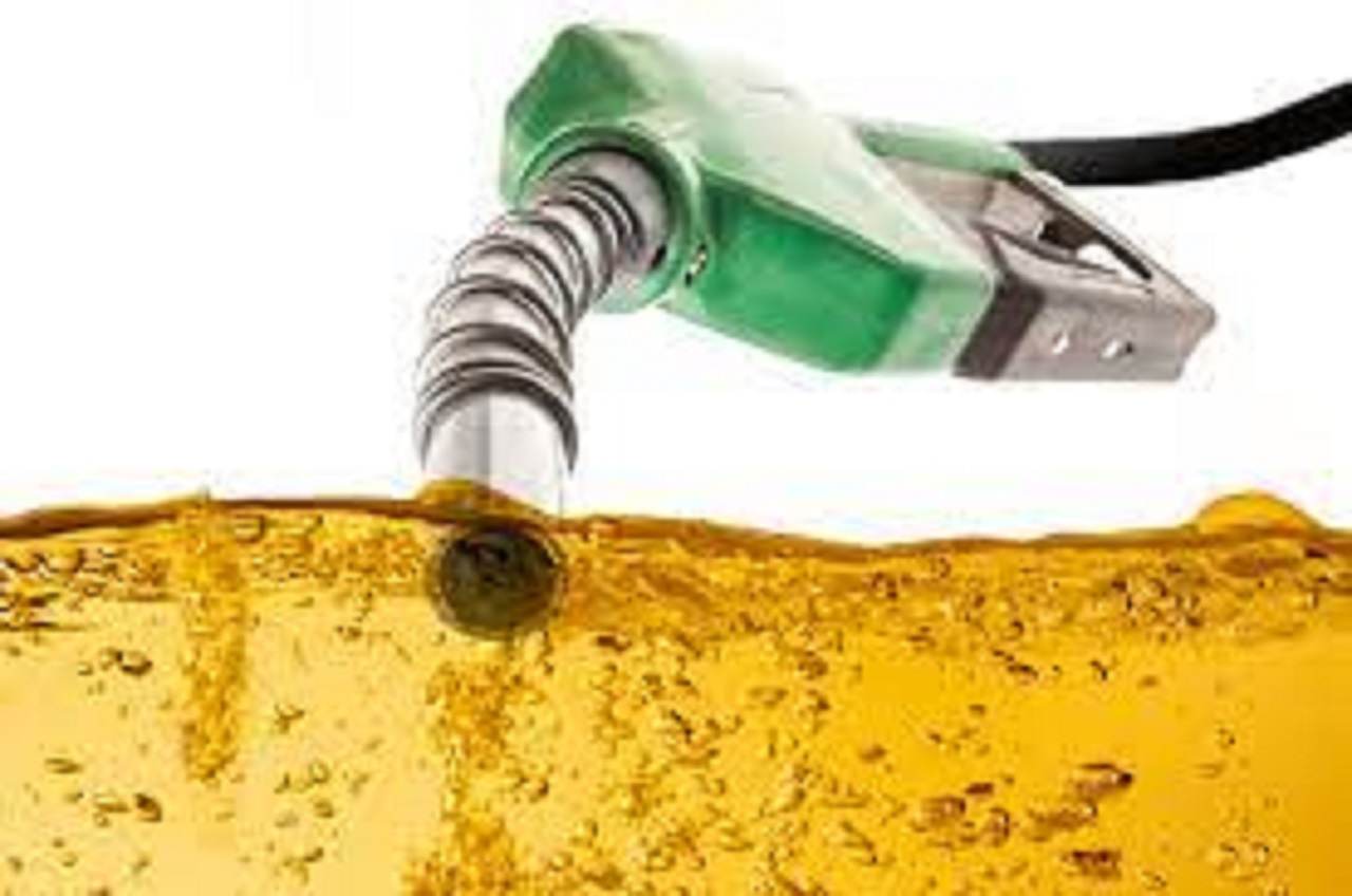 Gasolina Grid e Podium Petrobras