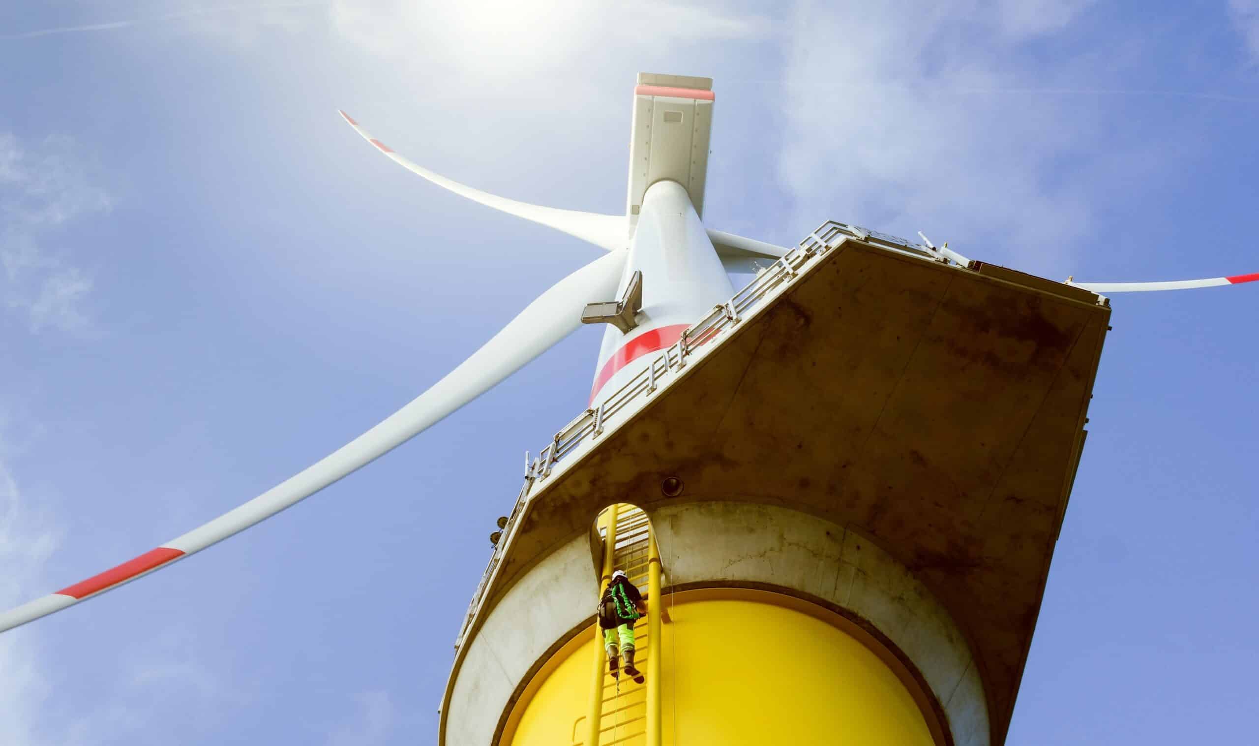 shell - eólicas offshore - Rio - ibama