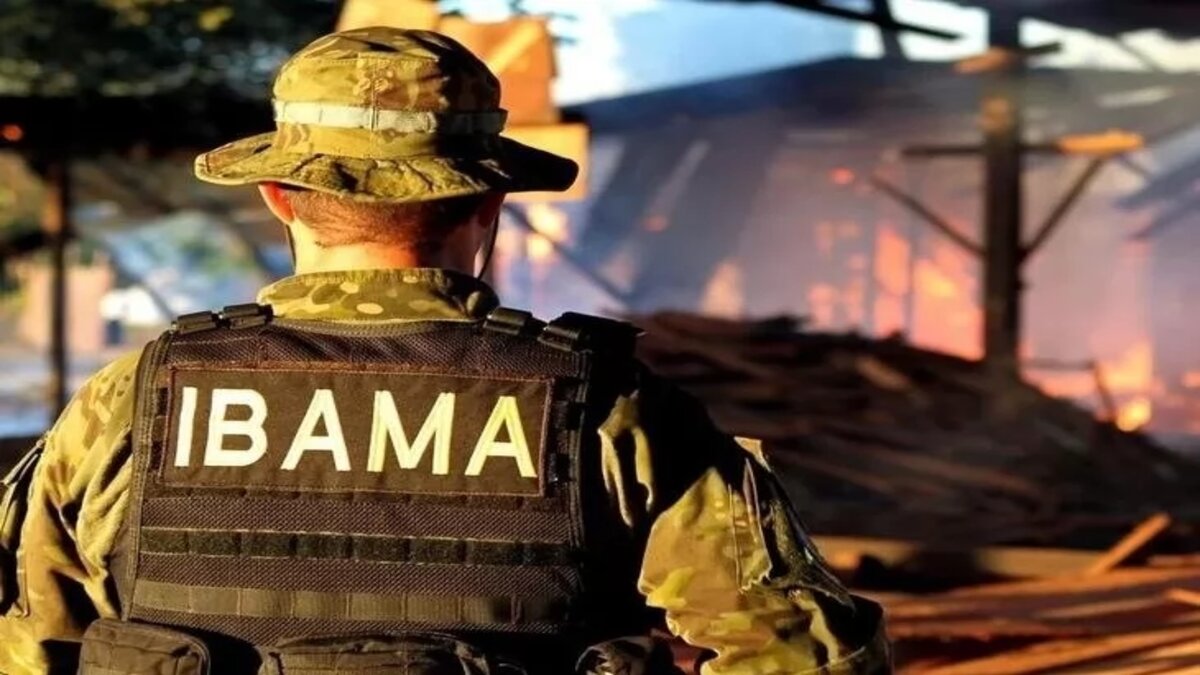 Um total de 1143 vagas de emprego em diversos locais do Brasil serão oferecidas pelo Ibama para serem preenchidas por profissionais dos mais variados níveis de escolaridade divididas entre quatro processos seletivos