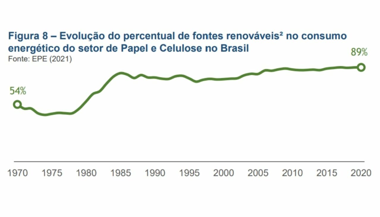 Bracell Pulp Major Companies