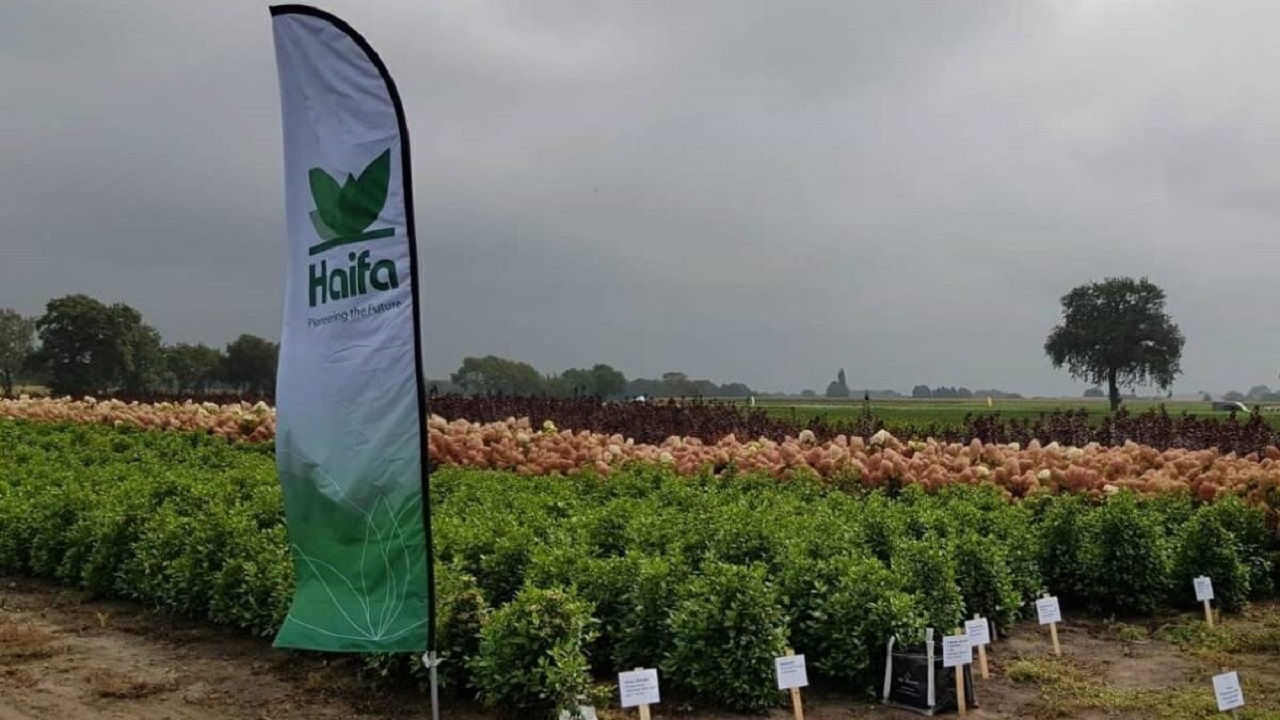 Multinacional israelense, Haifa Group, quer inaugurar fábrica para produzir adubos especiais no Brasil