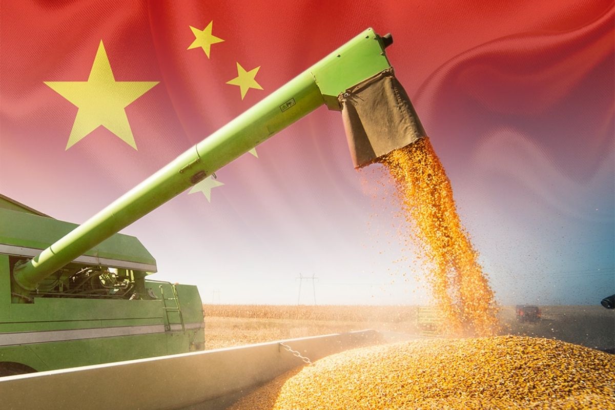 MIlho China Brasil Guerra Ucrânia