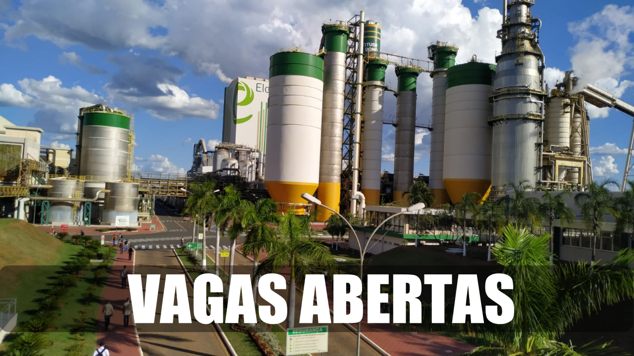 celulose - técnico - sem experiencia - ensino médio - São Paulo - Mato Grosso