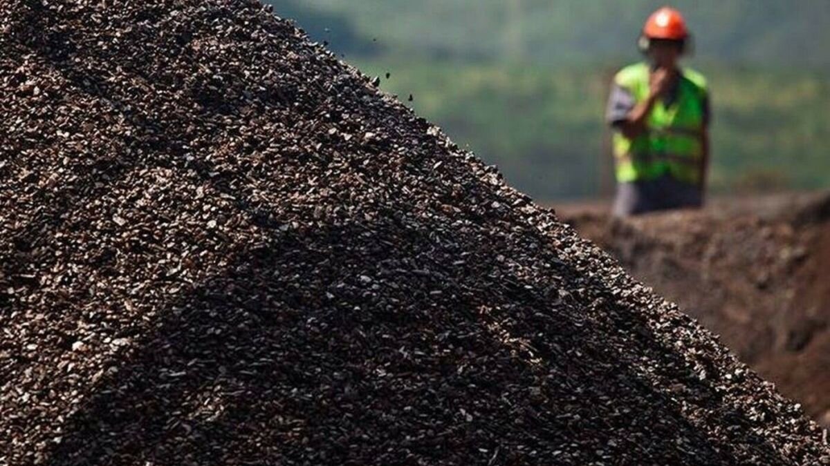 Os estudos atuais da Fundação Getúlio Vargas (FGV) quanto ao futuro do setor extrativo mineral no Brasil apontam a perspectiva de forte crescimento monetário e que o ramo será responsável por 2,11% do PIB em 2030, devido ao aumento da produção de petróleo, gás natural e minério de ferro.