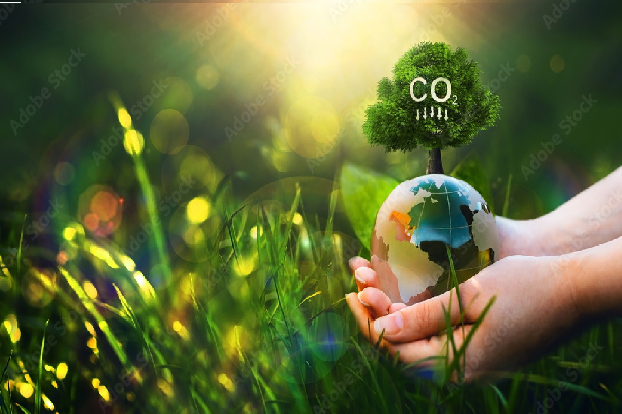 óleo, gás, carbono