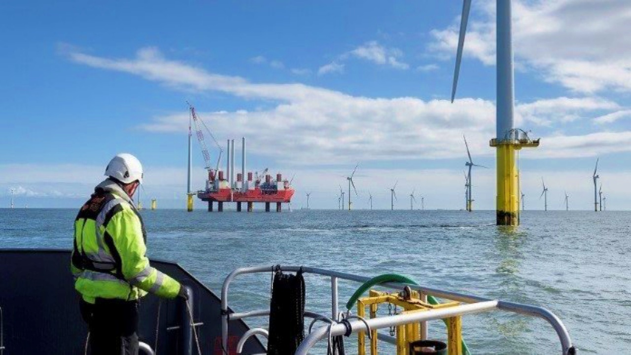 energia eólica - offshore - shell - Petrobras - vagas de emprego - Rio de Janeiro - petróleo - óleo e Gas - leilões de energia