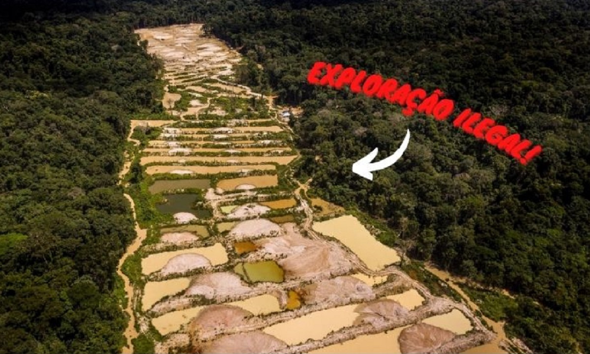 ouro, ouro ilegal, refinadora