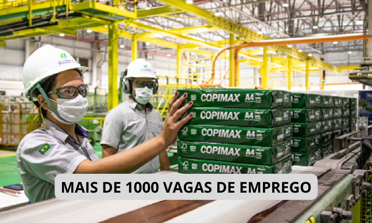 Fábrica, celulose, suzano, emprego