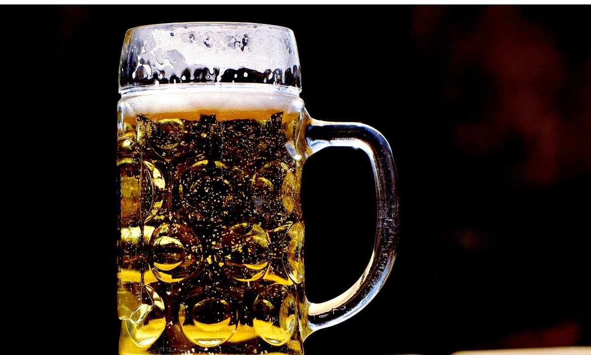 Cerveja, Brasil, universidade