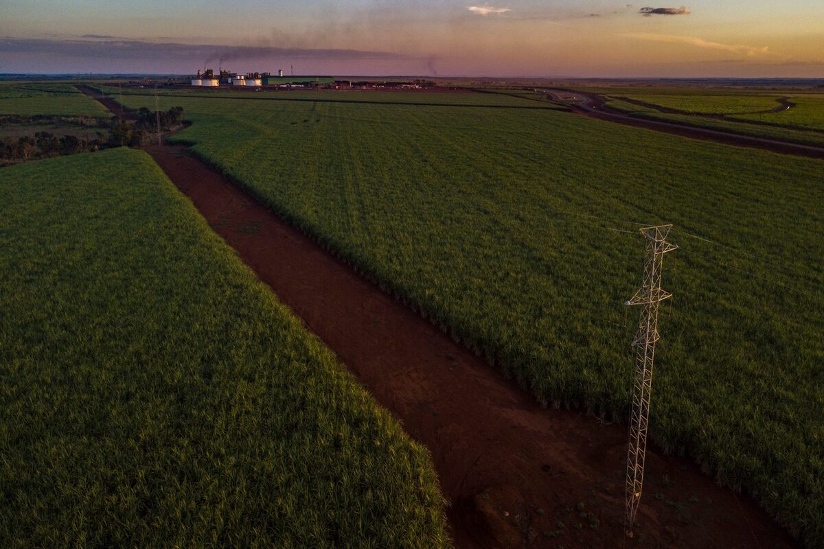 Agronegócio: a empresa BP Bunge diz que deixará de usar fertilizantes minerais até o ano de 2025, em contrapartida, a empresa aumentará o uso de algumas alternativas biológicas desenvolvidas pela Embrapa
