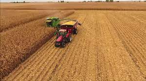 Exportação de milho