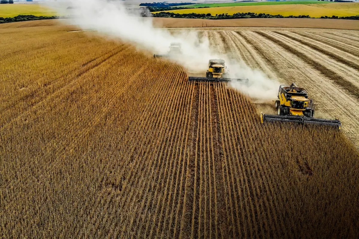 financiamento de Agro