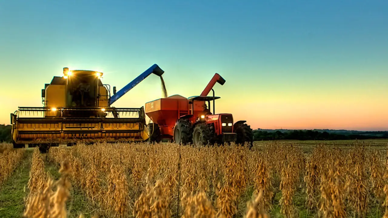 Safra brasileira de soja