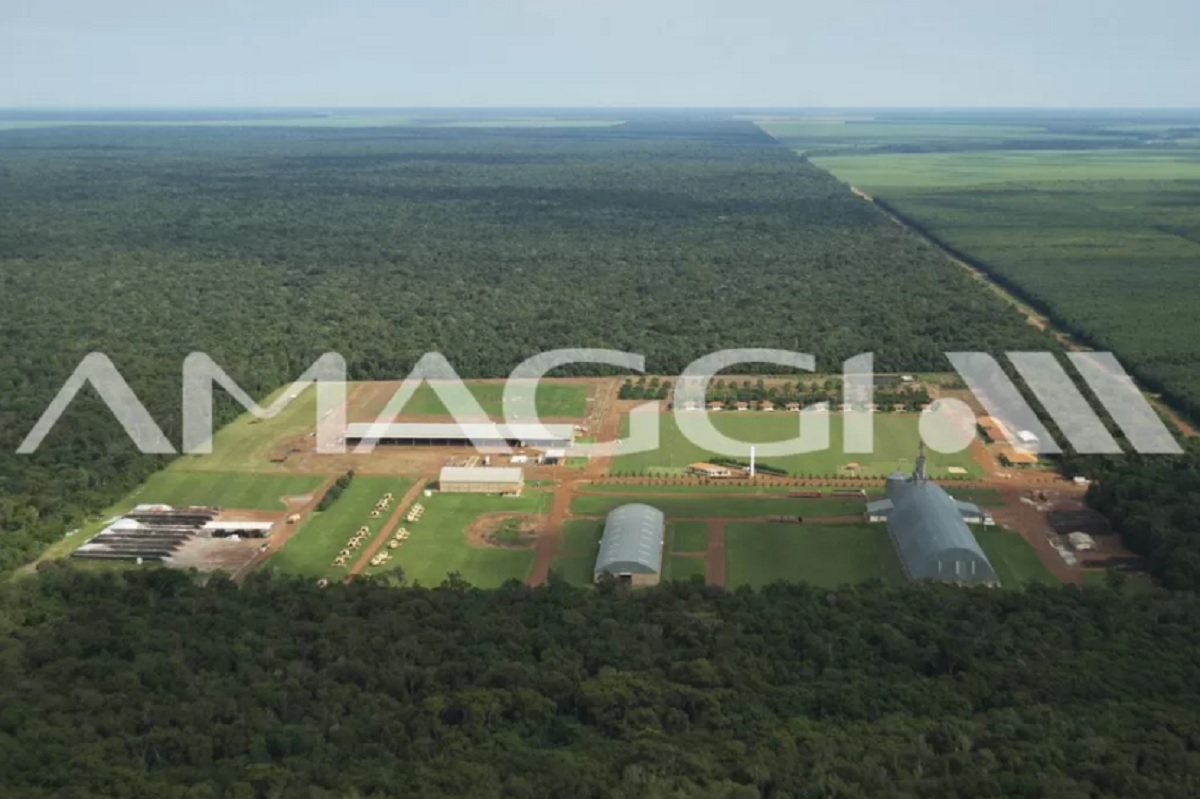 vagas, emprego, amaggi