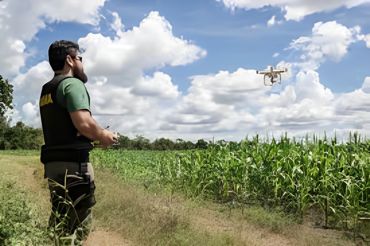 propriedades rurais embargadas pelo Ibama