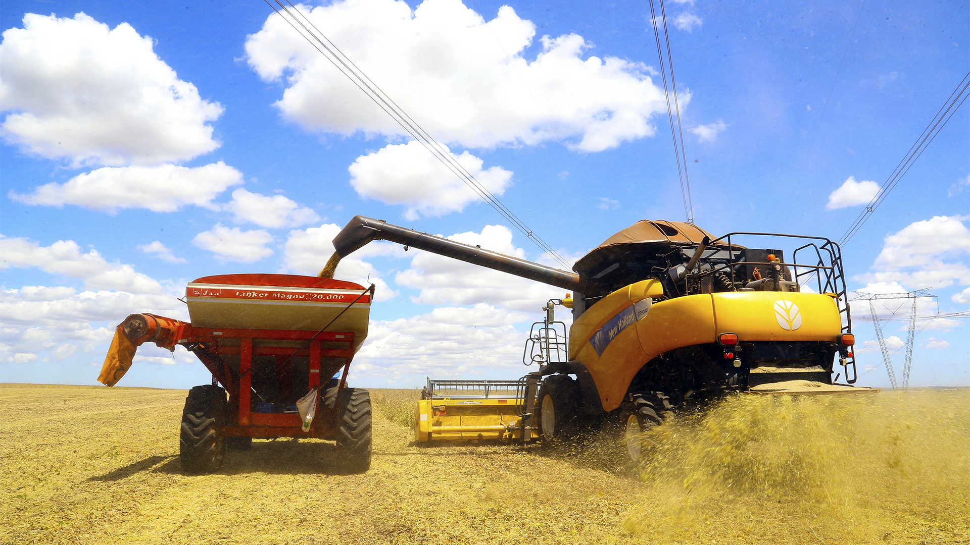 Exportação do agronegócio brasileiro bate recorde em Janeiro e atinge 10,23 bilhões de dólares, uma alta de 16,5%